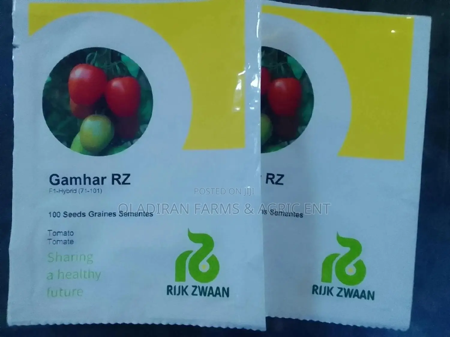 Gamhar Rz Tomato Seed