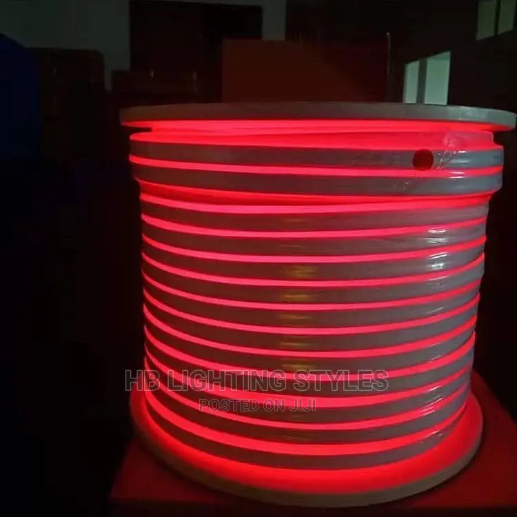 LED Neon Strip 220V