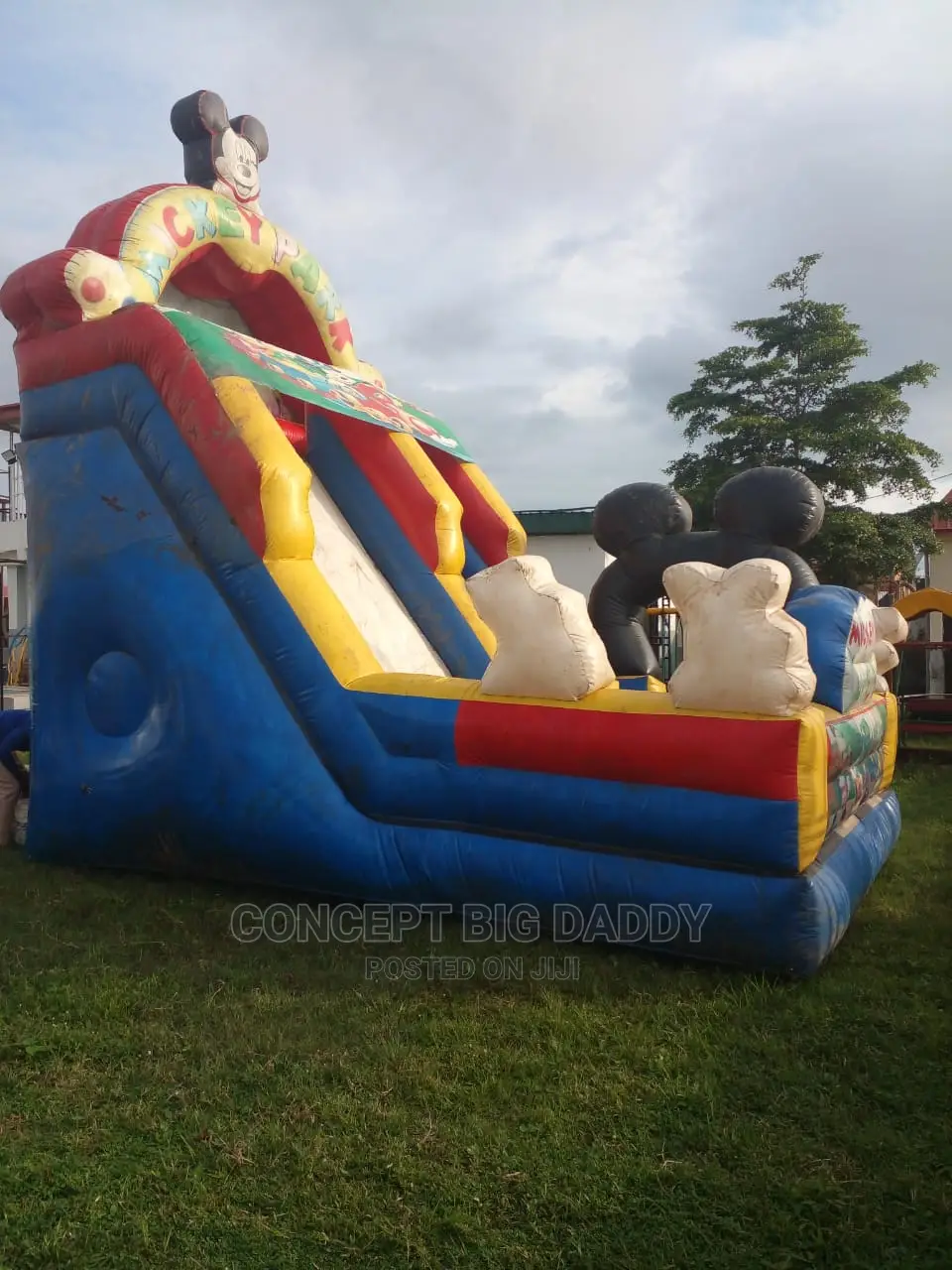 Bouncing Castle, DJ, Mc/Clown , Face Painting And Barney