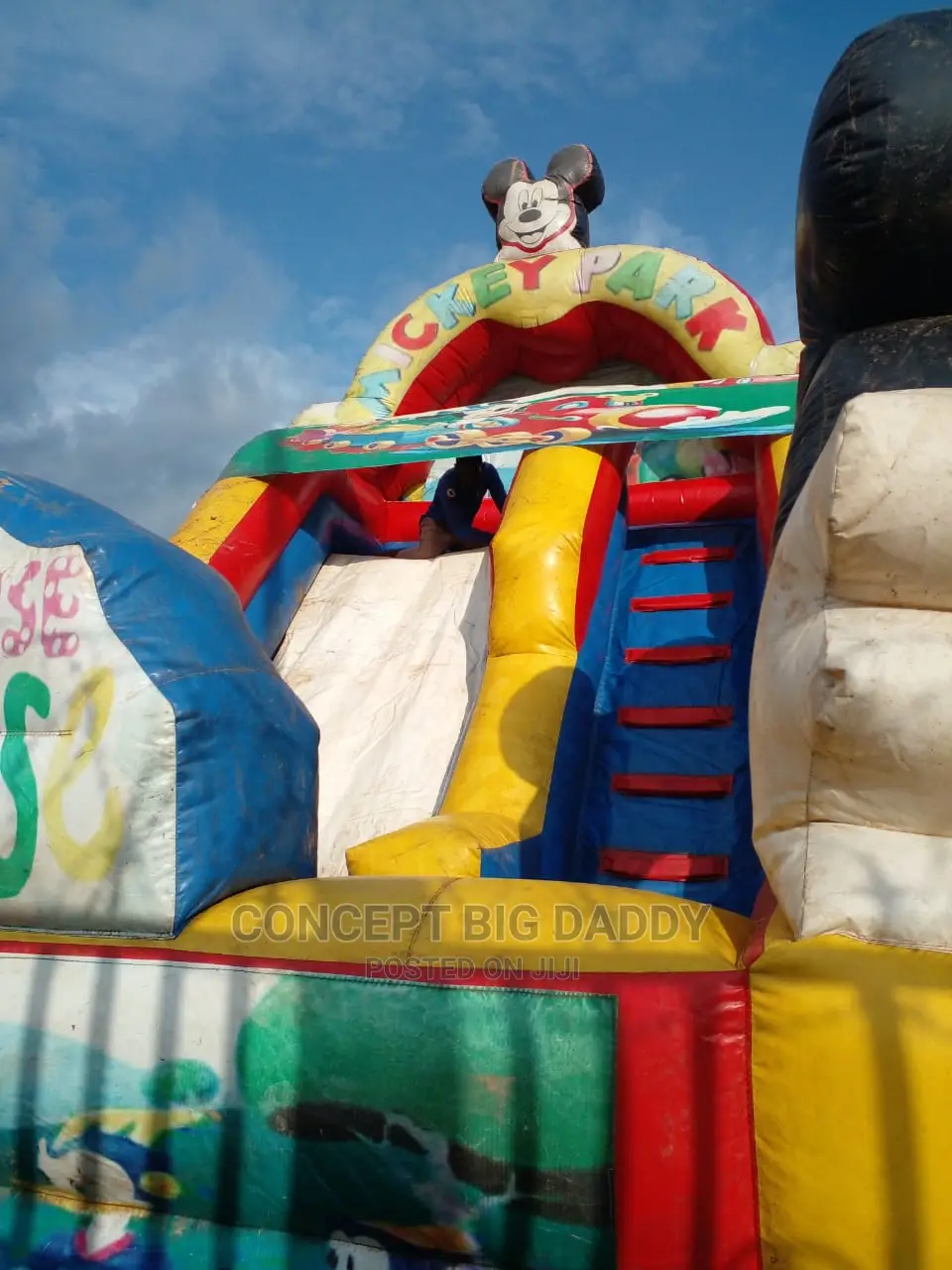 Bouncing Castle, DJ, Mc/Clown , Face Painting And Barney