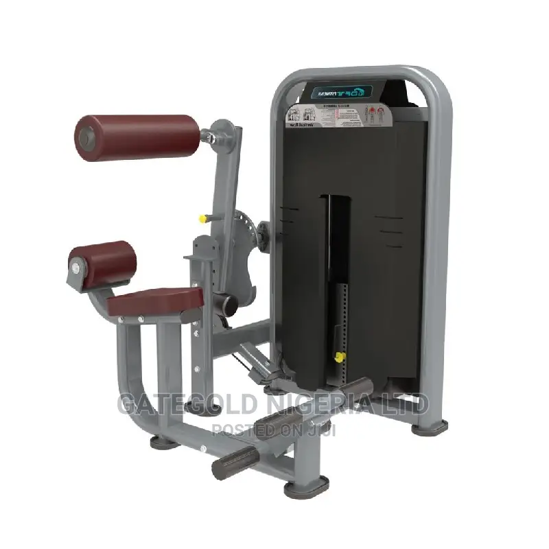 DFT1695 Abdominal Crunch Back Extension Machine