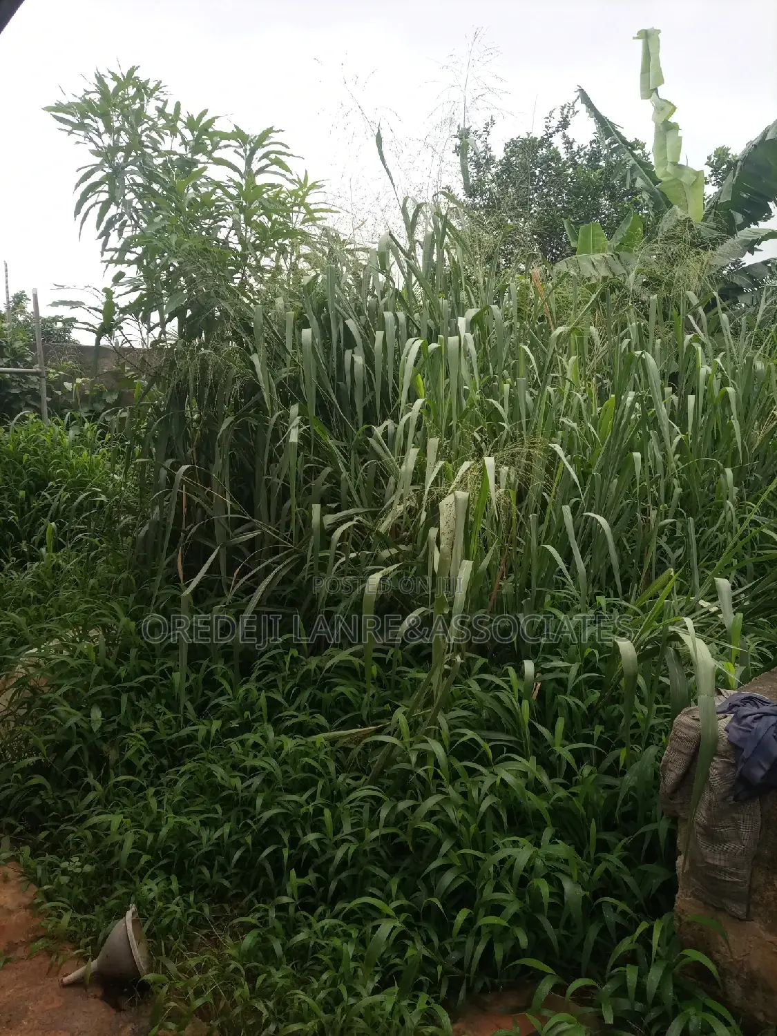 10bdrm Bungalow in Beautiful Close, Abesan for sale