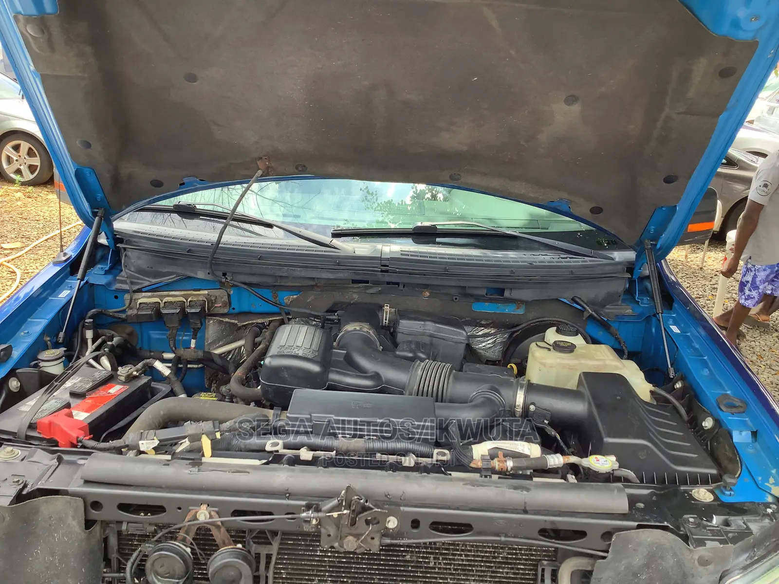 Ford F-150 SuperCrew 4x4 2009 Blue