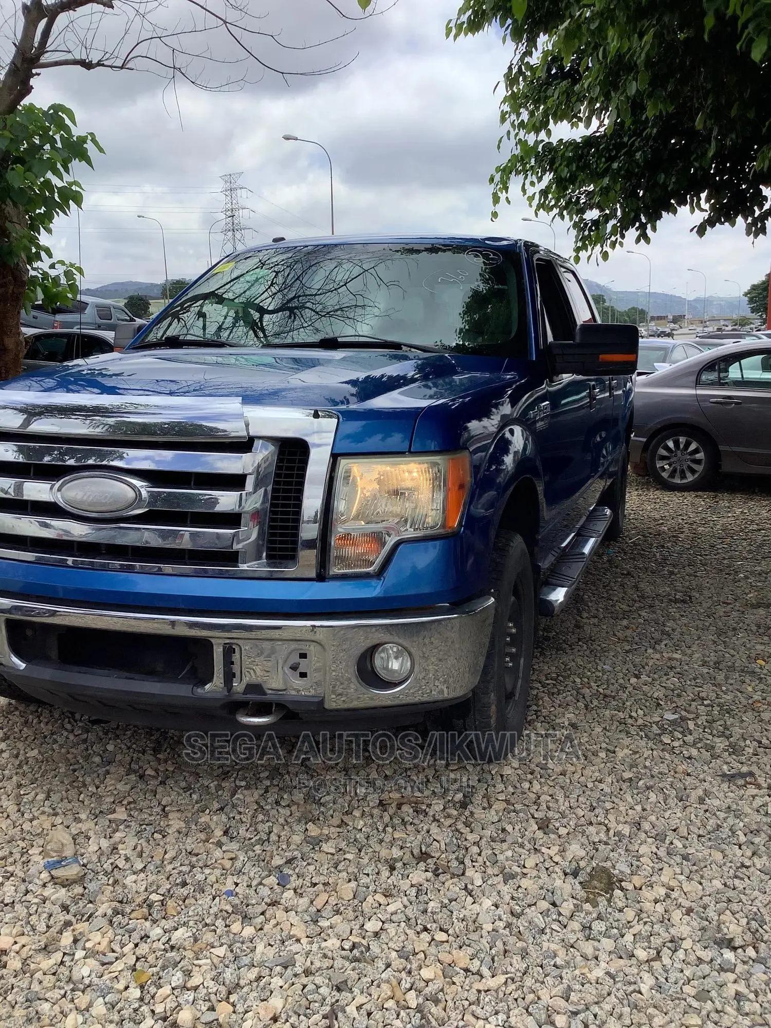 Ford F-150 SuperCrew 4x4 2009 Blue