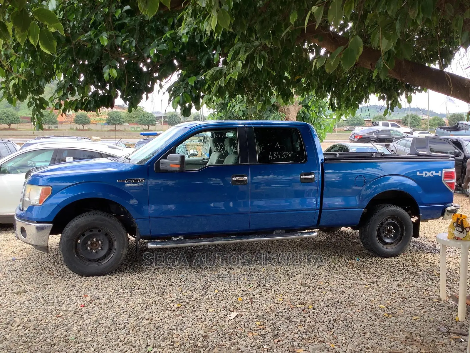Ford F-150 SuperCrew 4x4 2009 Blue