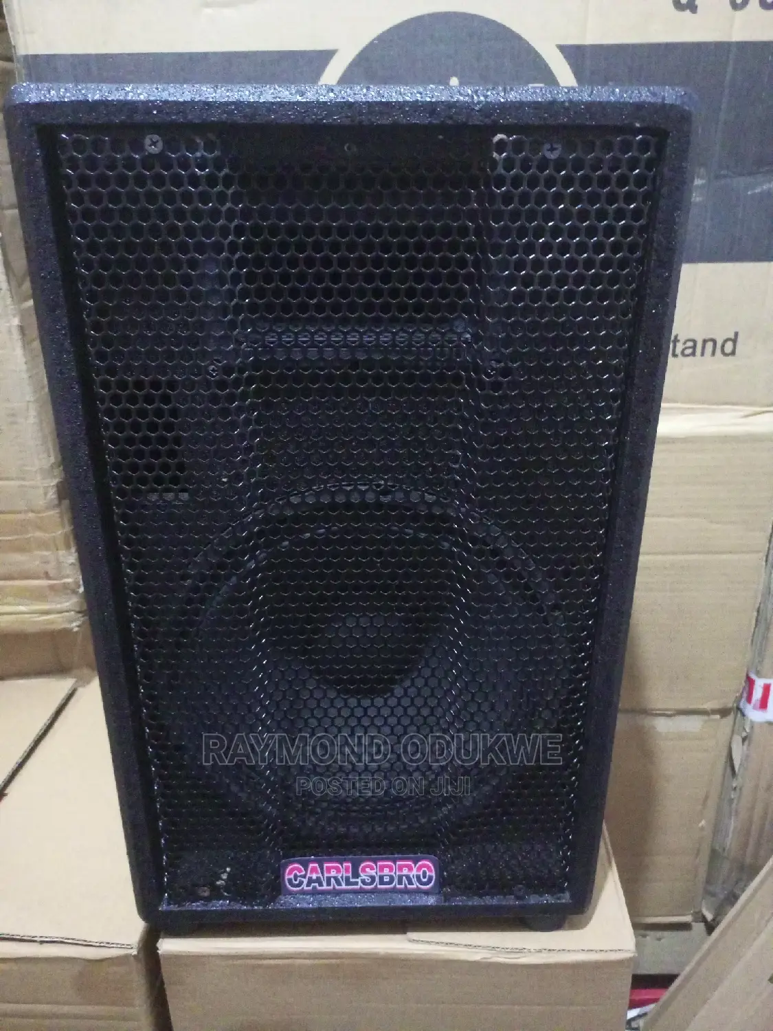 Portable 10" Acoustic Speakers