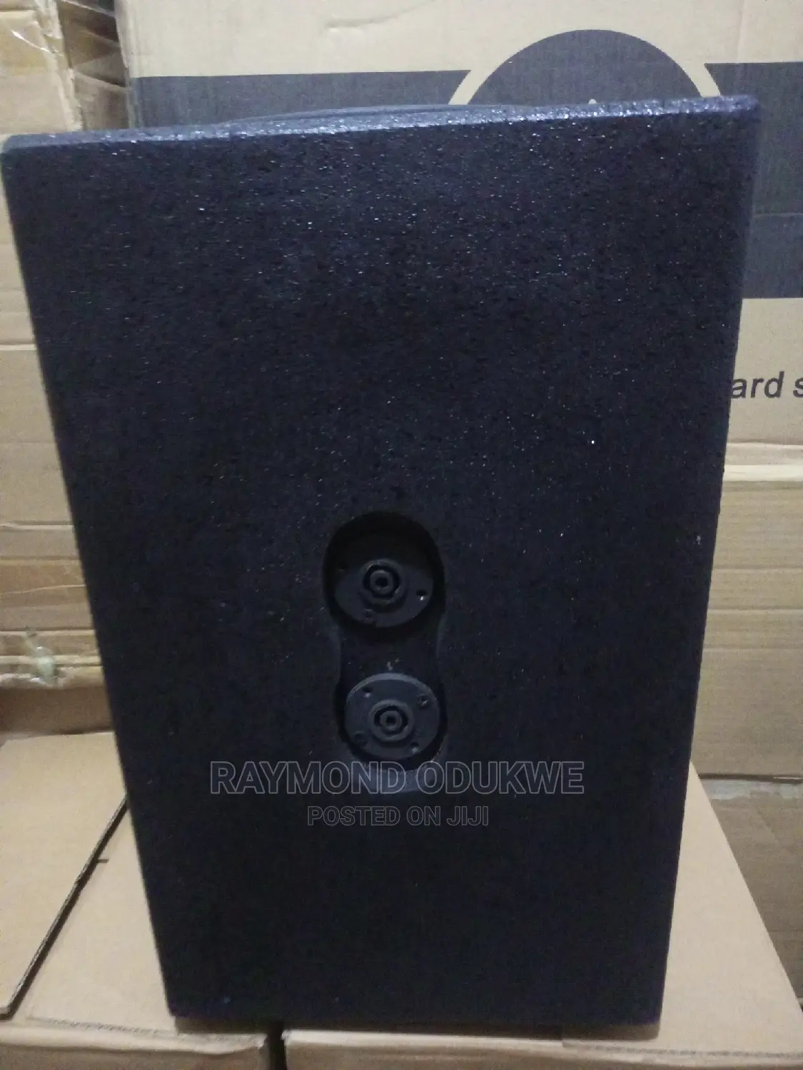 Portable 10" Acoustic Speakers