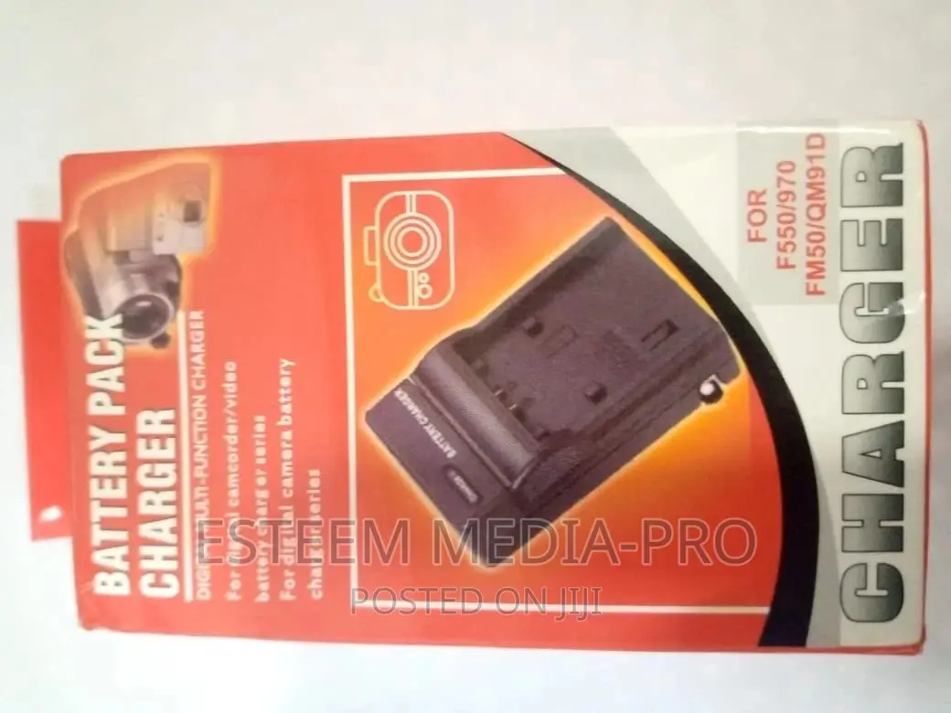 Np-F Series Single-Battery Charger