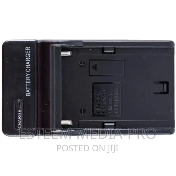 Np-F Series Single-Battery Charger