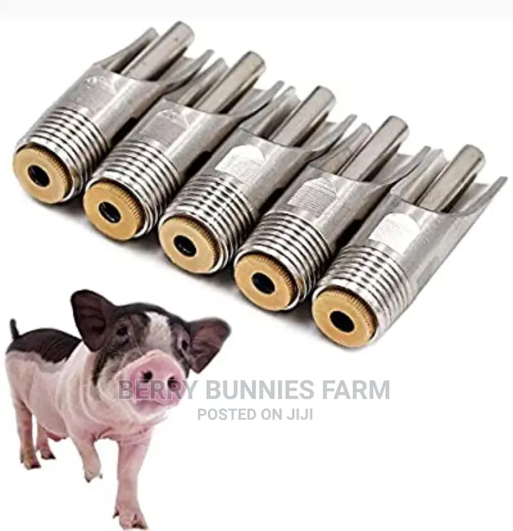 Pig Nipple Drinker