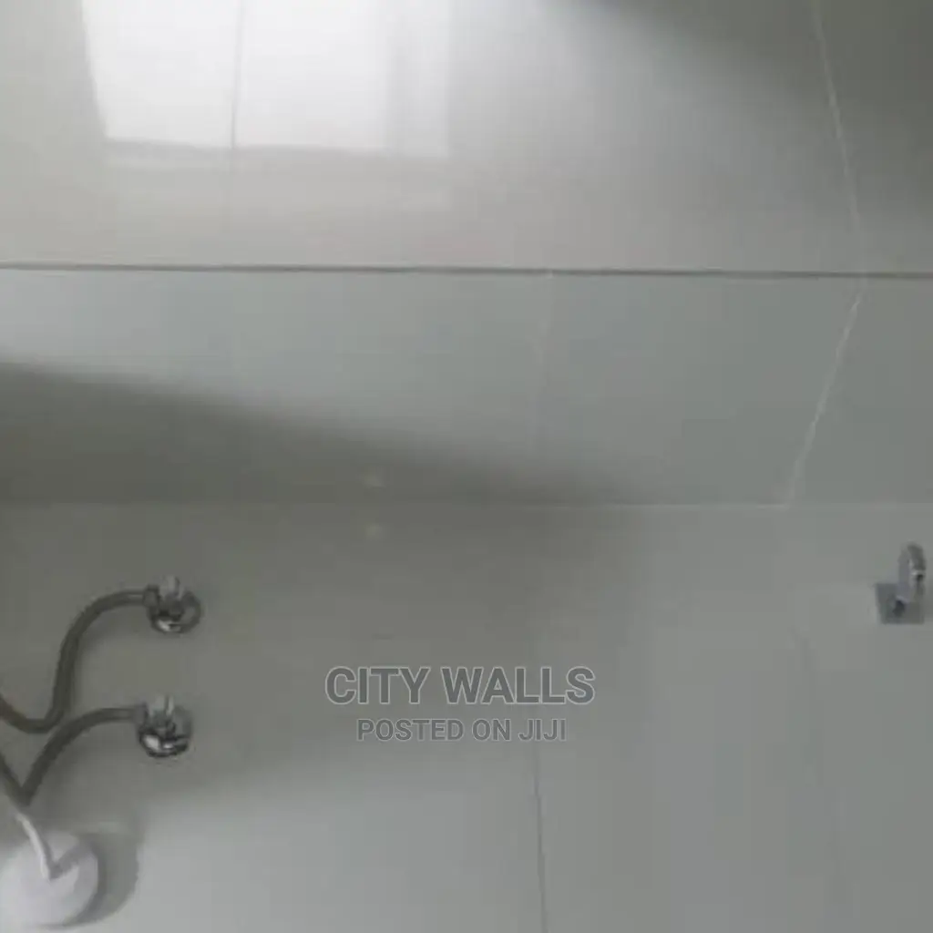 2bdrm Apartment in Ologolo for rent