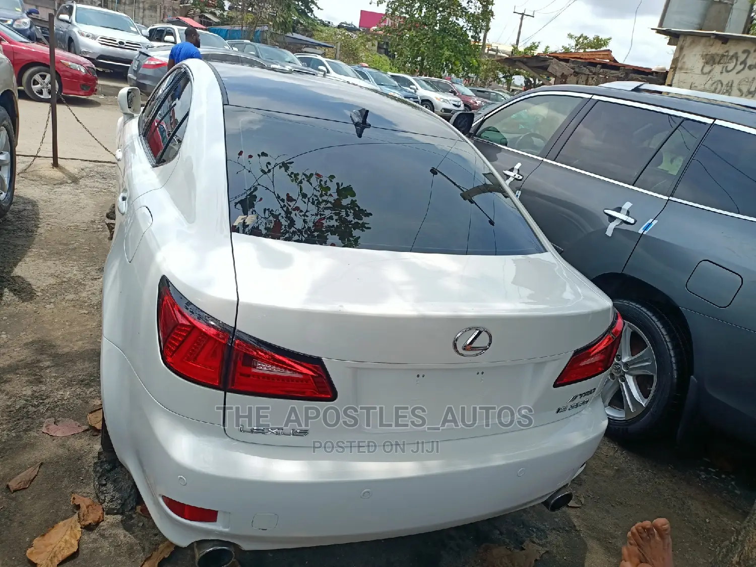 Lexus IS 250 2008 White