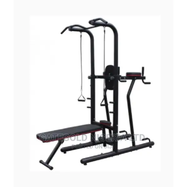 Wt-H06a Dip Chin Ab170