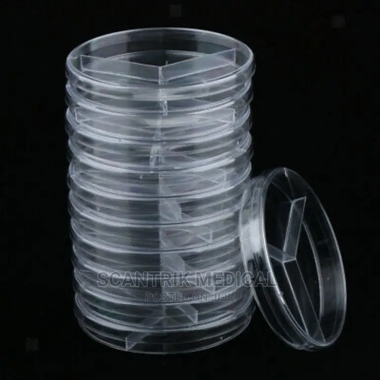 Petri Dishes Bacteria Culture Dish Biological