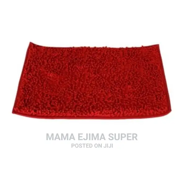 Non-Slip Thick Absorbent Doormat