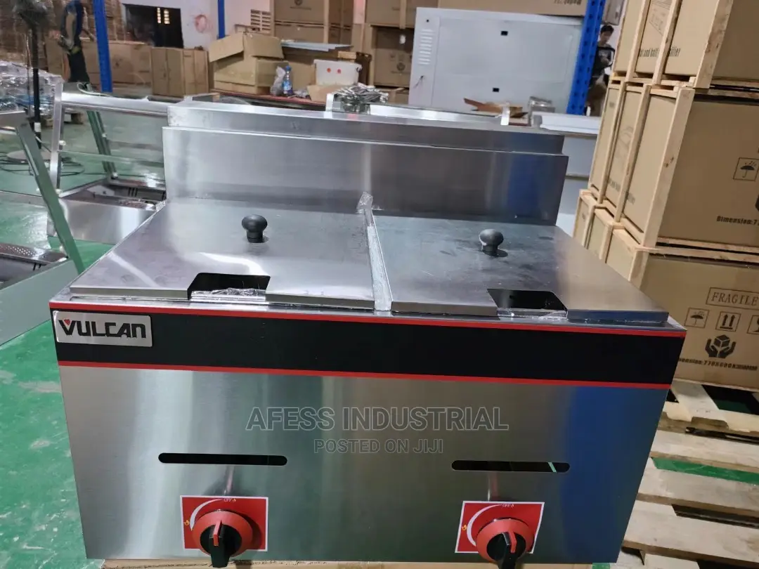 Double Bowl Deep Fryer 12L
