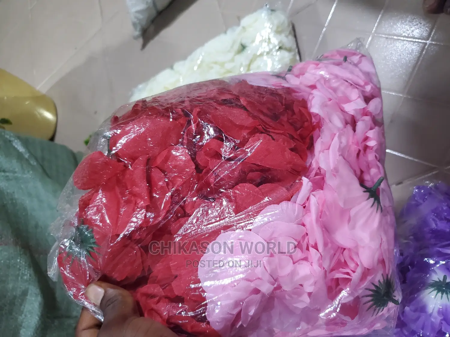 Rose  Flowers by 100 Pic's in Park