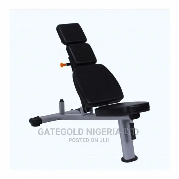 Wt-A57 Adjustable Dumbbell Bench (Premium)