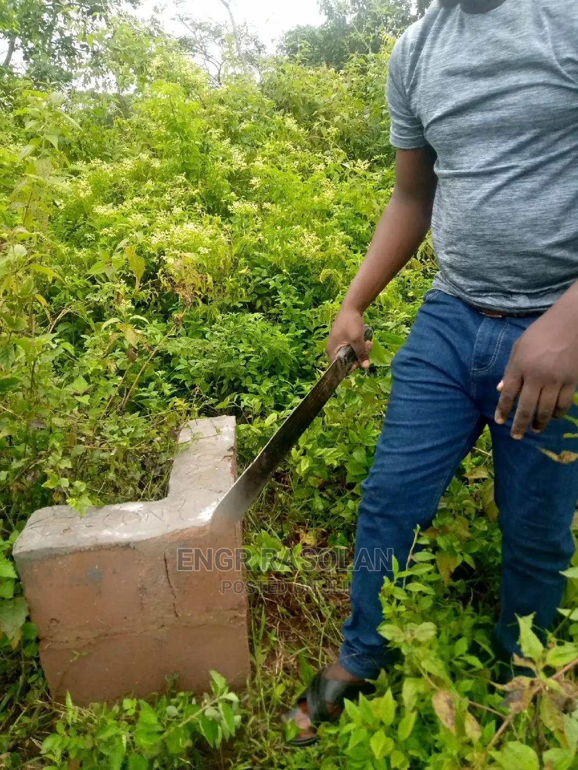 Farm Land for Sale