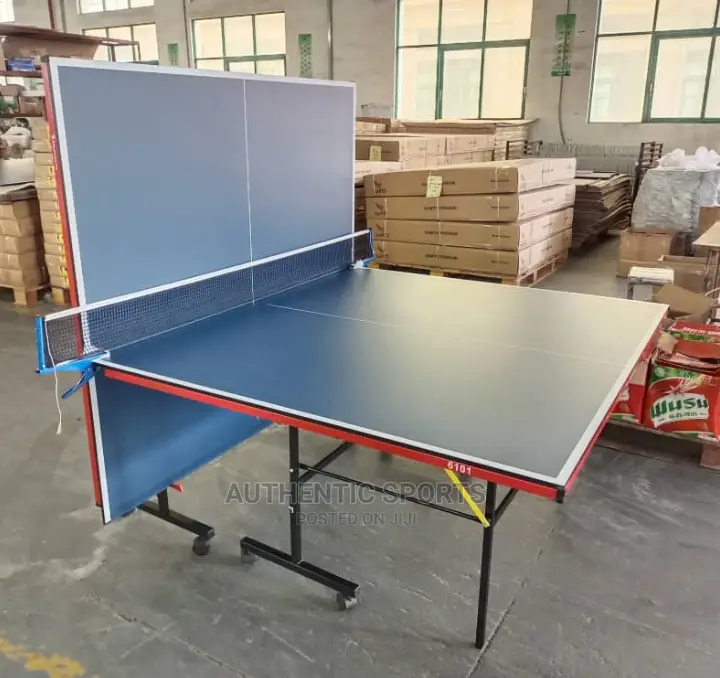 Indoor Table Tennis Board With 4bats,6balls