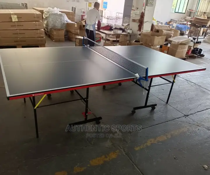 Indoor Table Tennis Board With 4bats,6balls