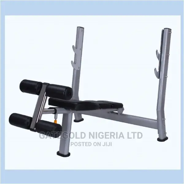 Wt-A51 Decline Weight Bench (Premium)