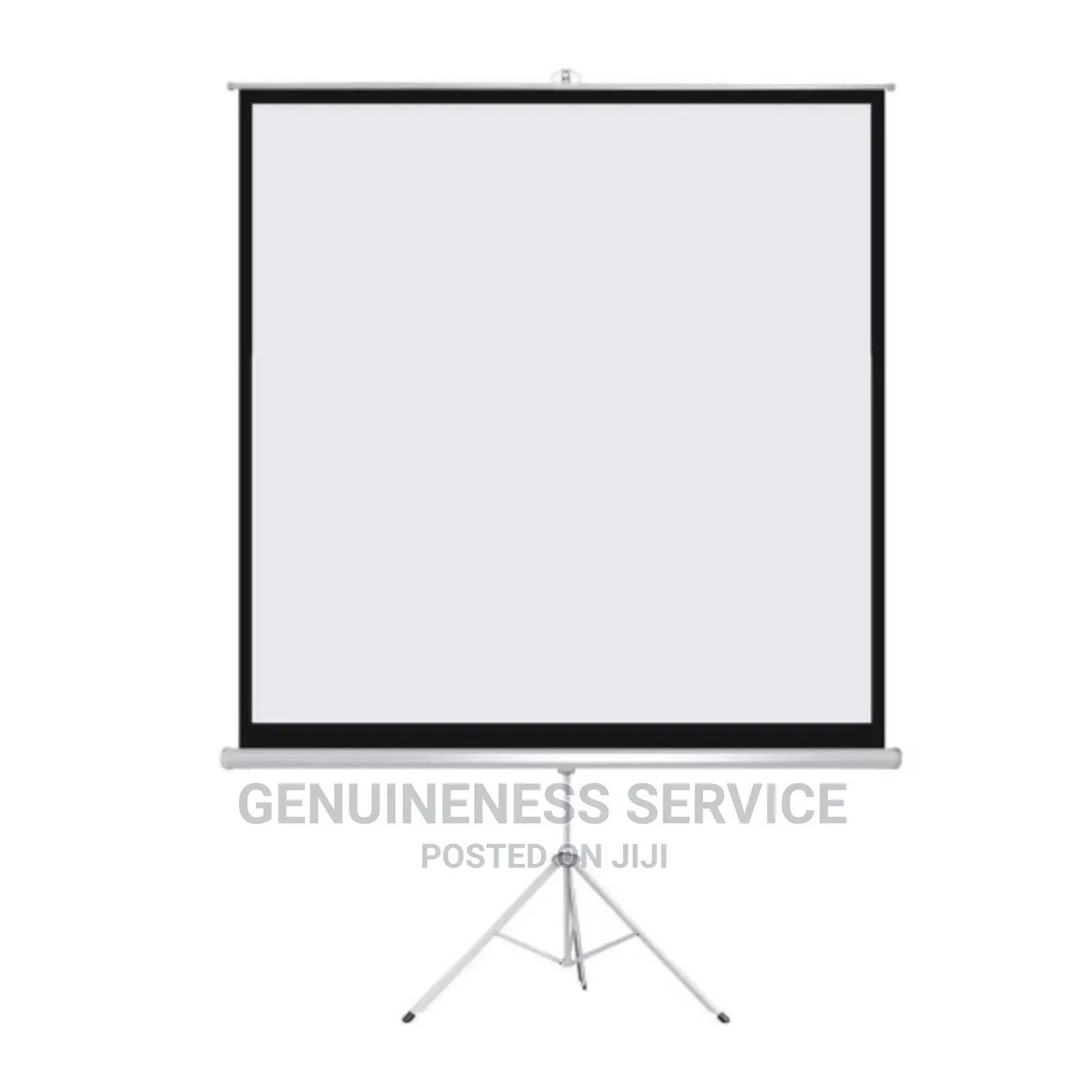 Portable Tripod Projection Screen