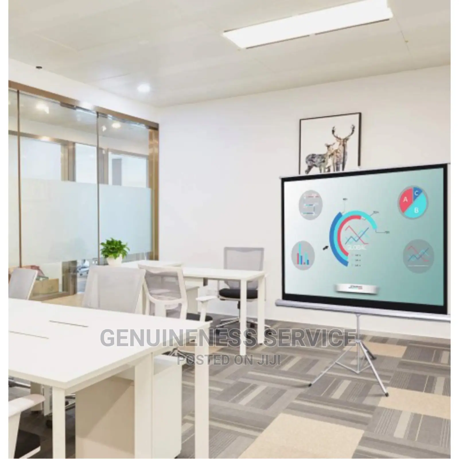 Portable Tripod Projection Screen