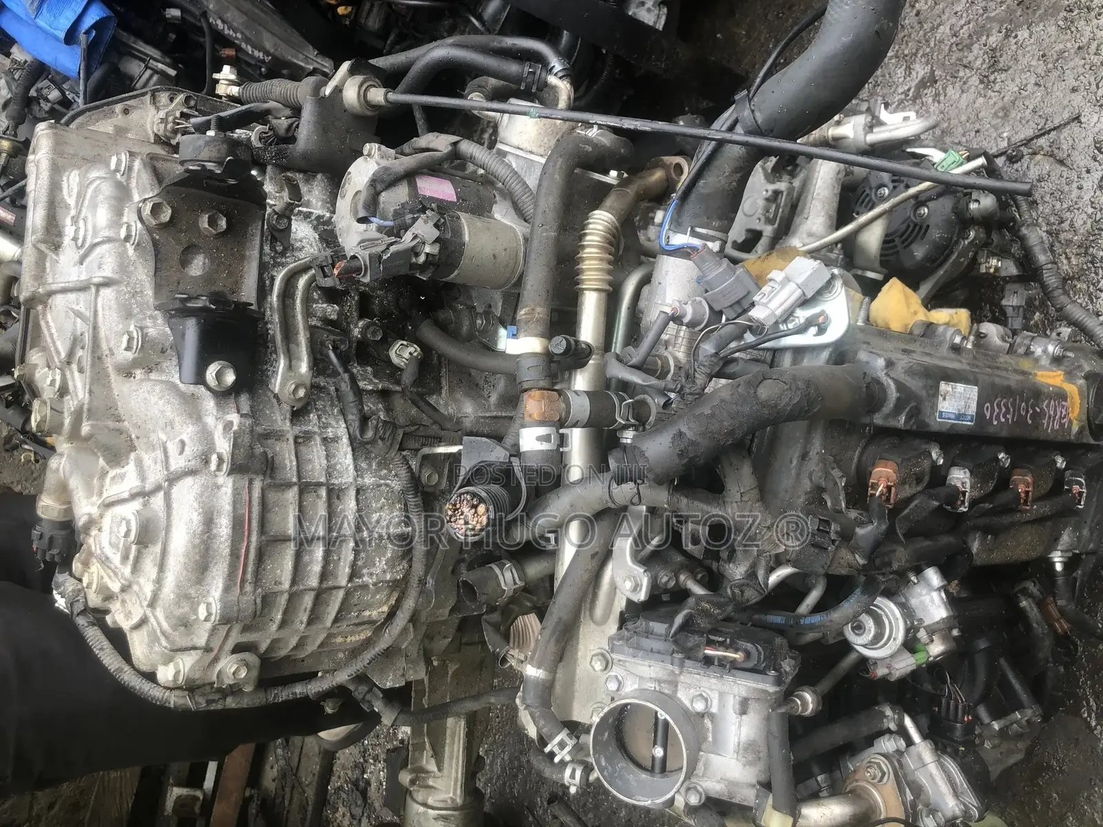 Toyota Camry 4 Plug