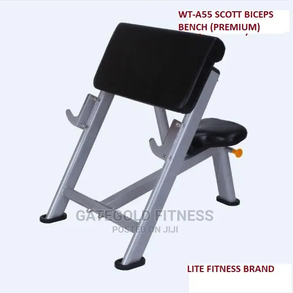 Wt-A55 Scott Biceps Bench (Premium)