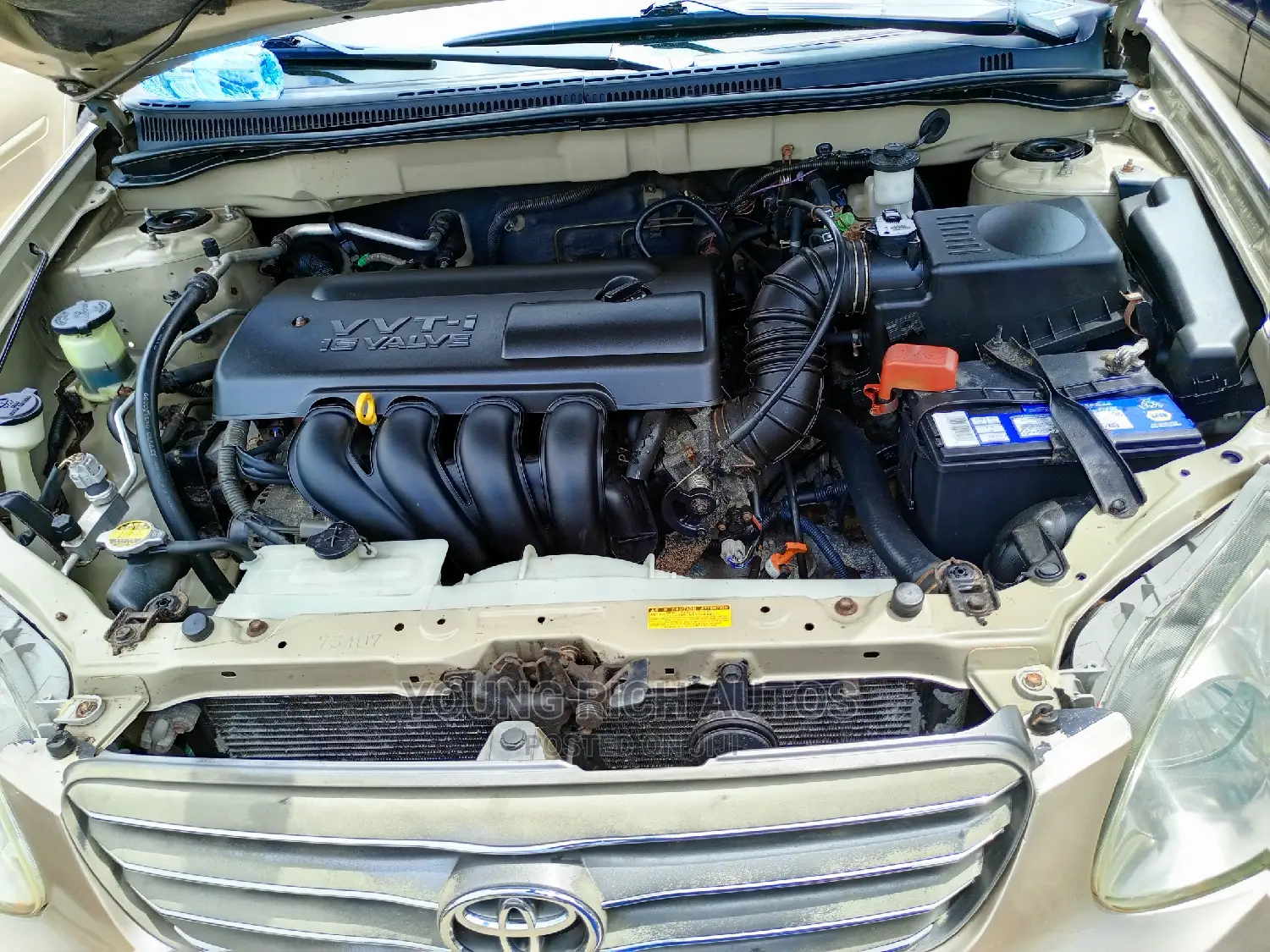 Toyota Corolla 2004 Gold