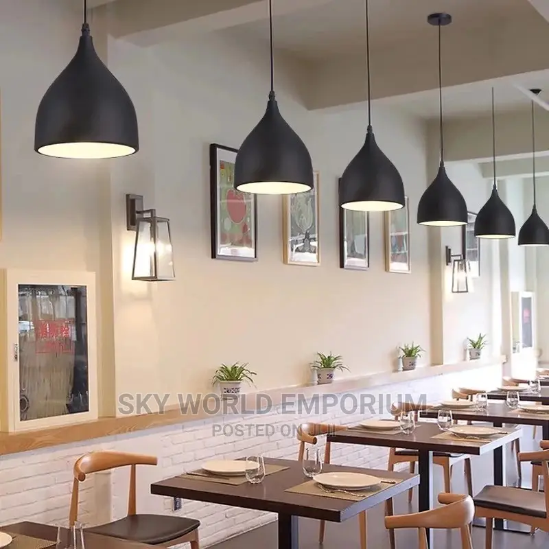 1 Pendant Drop Light