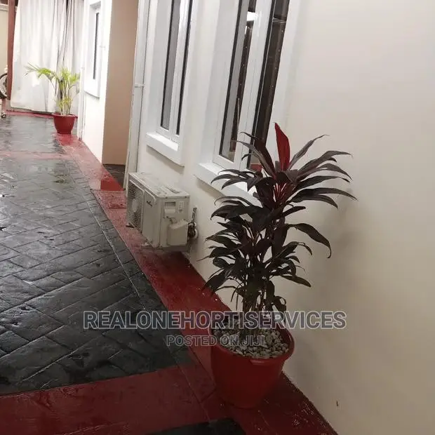 Concrete Stamping (Polishing) Floor