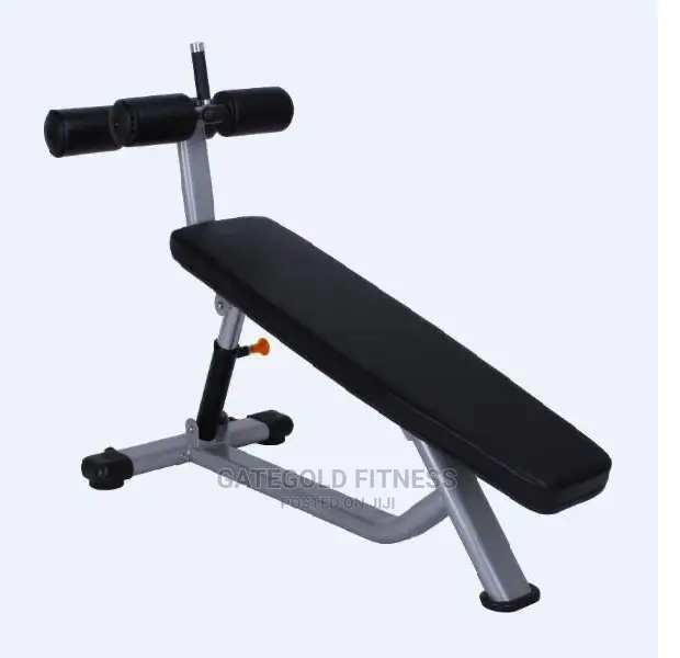 Wt-A56 Adjustable Abdominal Bench (Premium)