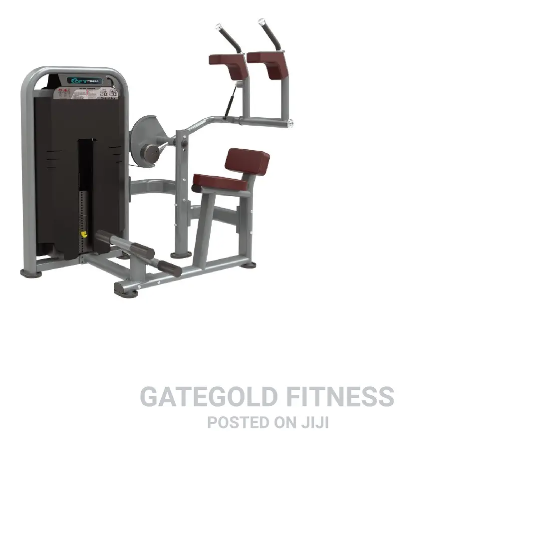 DFT1695 Abdominal Crunch Back Extension Machine