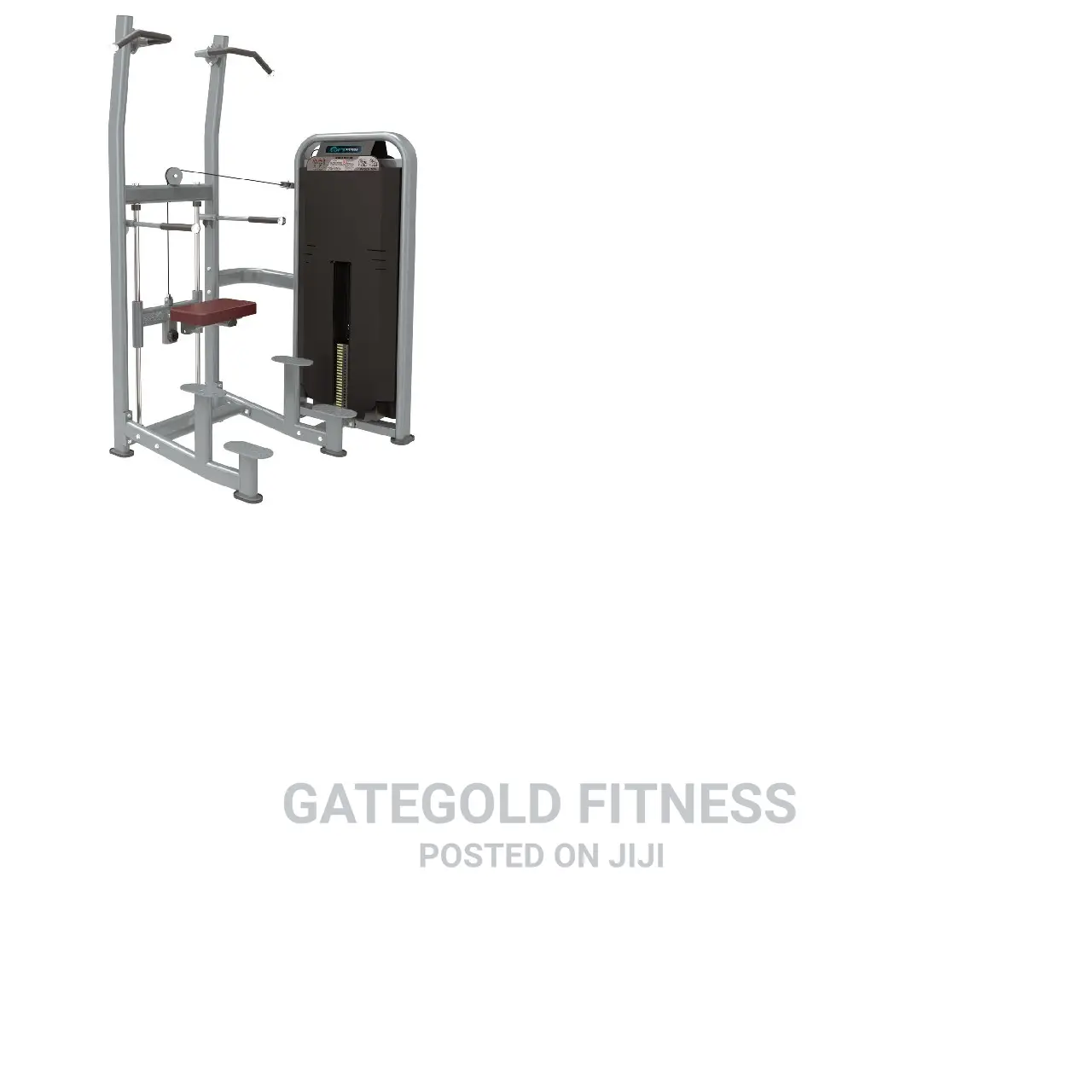 DFT1609 Weight Assisted Chin+ Dip