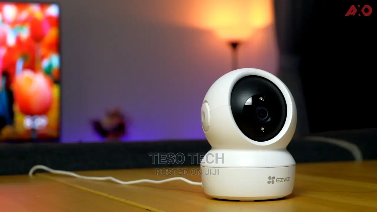Security and Surveillance in Lagos