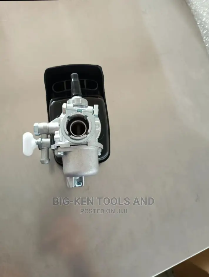 Carburetor for Backpack and Power Sprayer