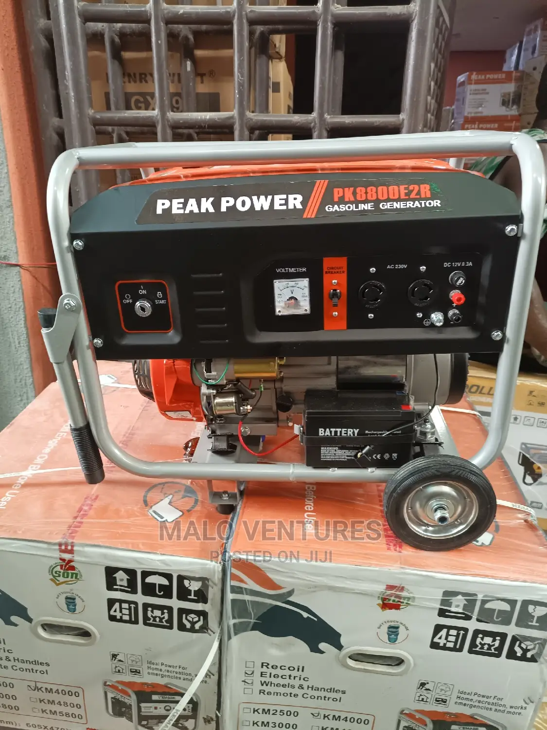 4.5kva Peak Power Professor Generator With Remote Control