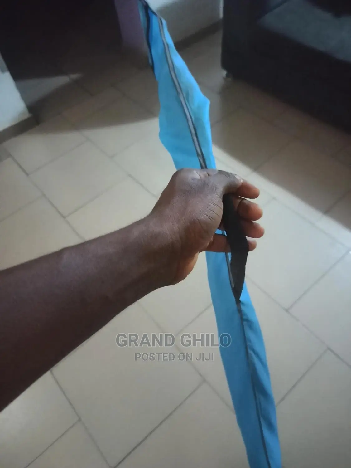 Eagle Kite 3D With Carry Bag