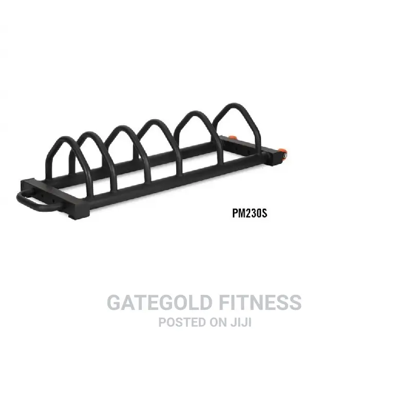PM230 Bumper Plate Rack