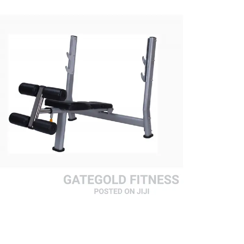 F-A51 Declined Weight Bench