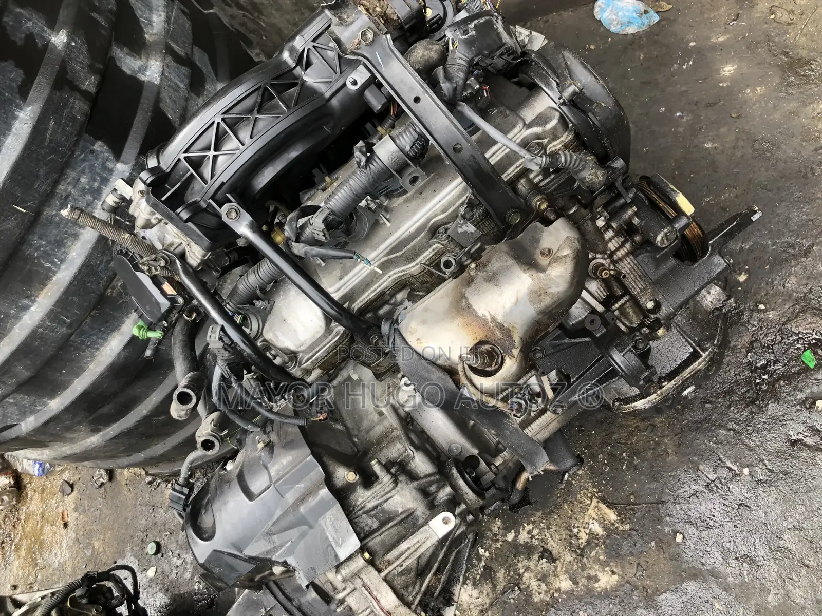Lexus Es330 Engine