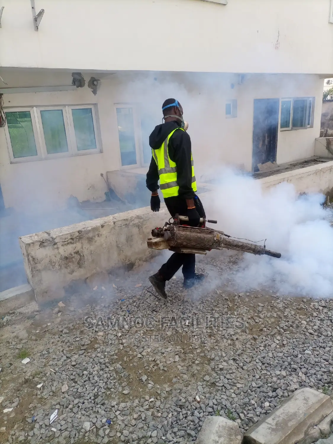 Bedbugs,Rat, Roaches, Termite, Mosquitoes Extermination
