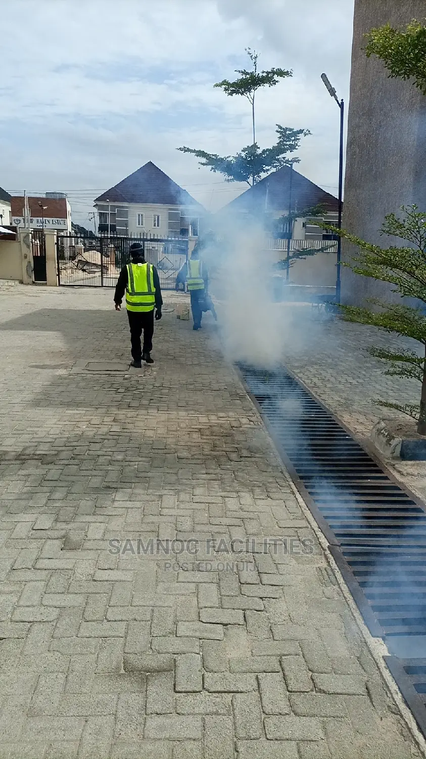 Bedbugs/Mosquitoes/Flies/Snakes/Rats Termites Fumigation