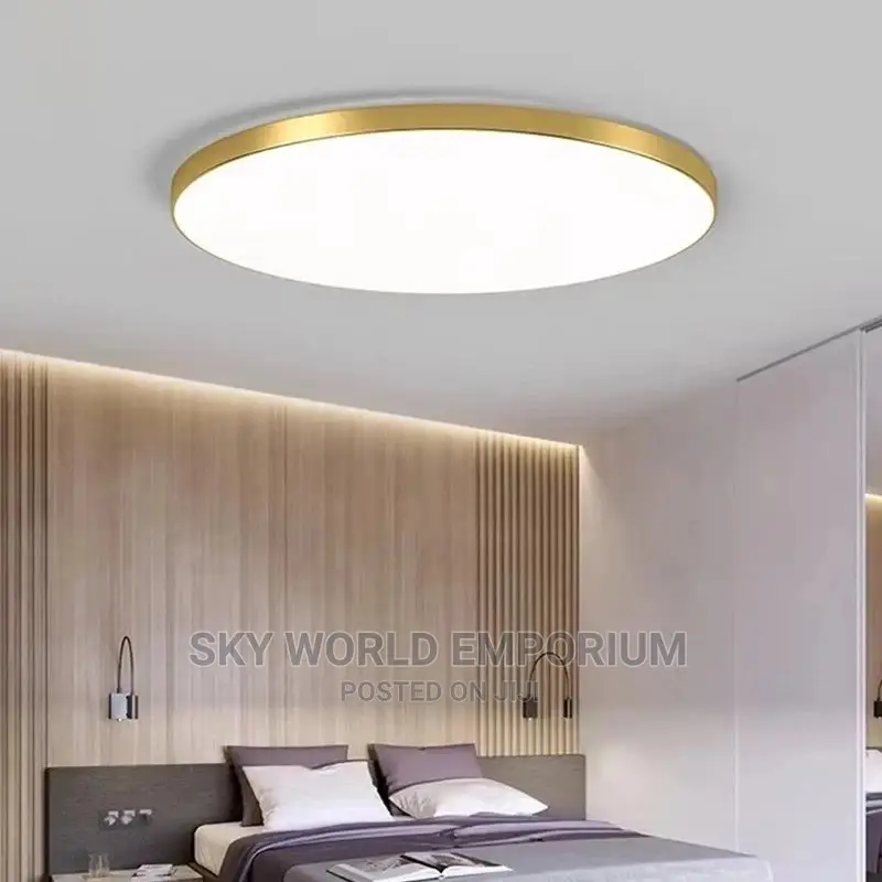 Ceiling Light