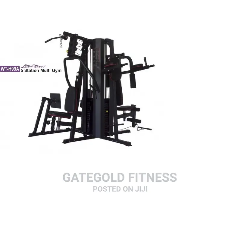 Wt-H99a 5 Station Multi Gym