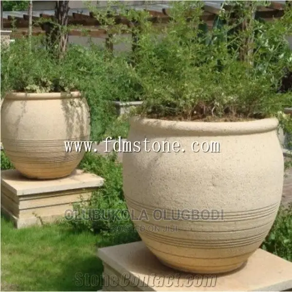 Vases With Flowers