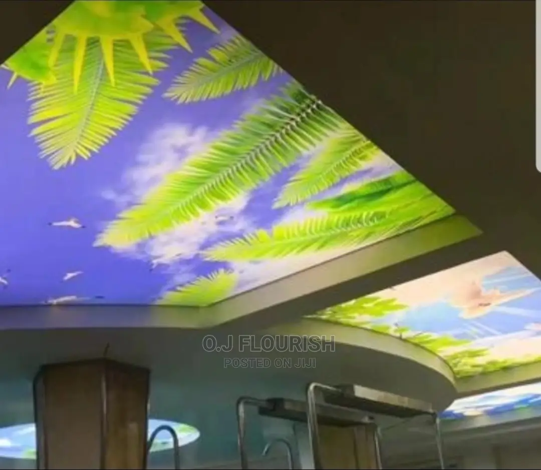 3D Stretch Ceiling Just for Your Home or That Ceiling Space