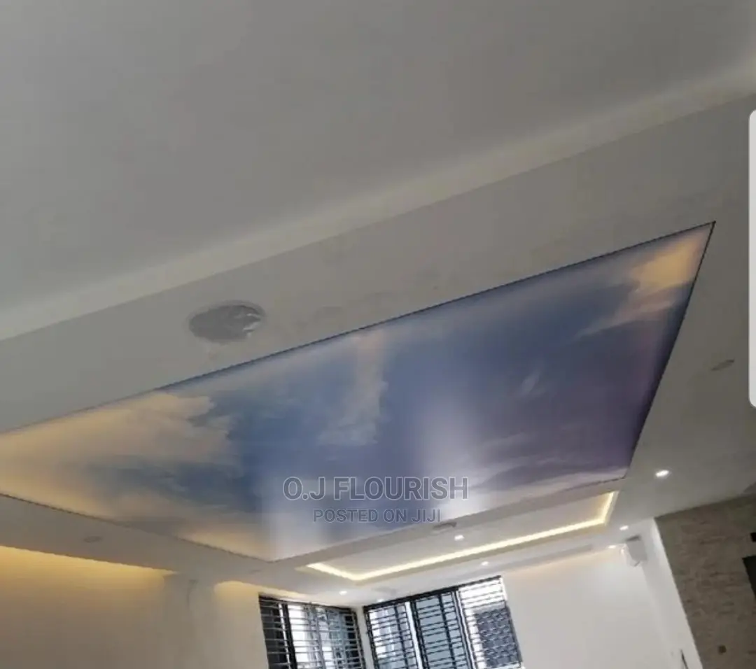 3D Stretch Ceiling Just for Your Home or That Ceiling Space